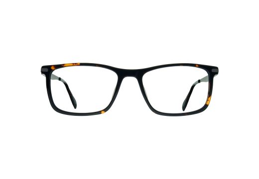 Olivier X T002 C2