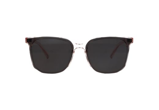 Olivier X S TR19161 C5